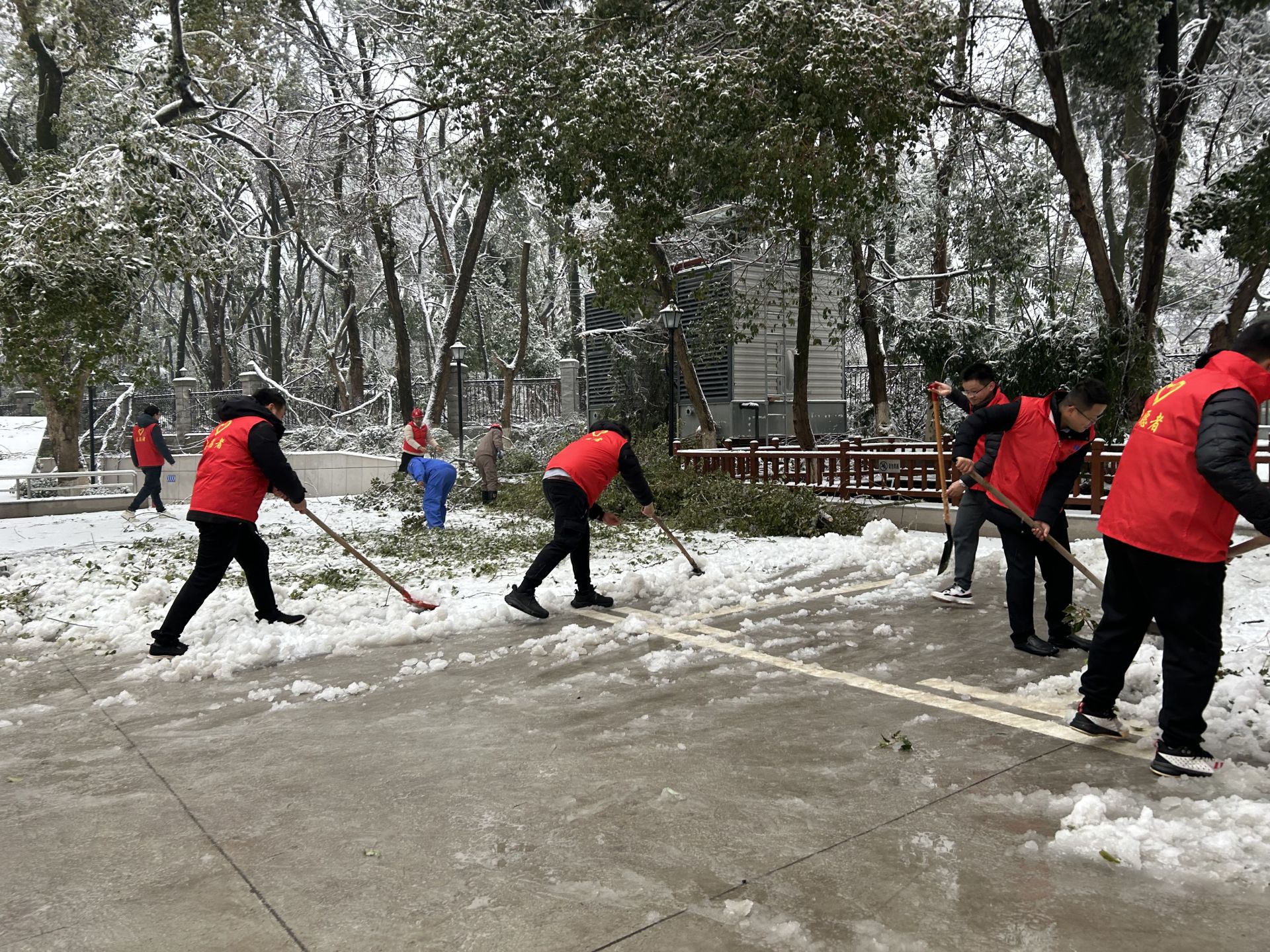 2月4日，华中分公司本部志愿者参与积雪和树枝清理，摄：徐菲.jpg.jpg