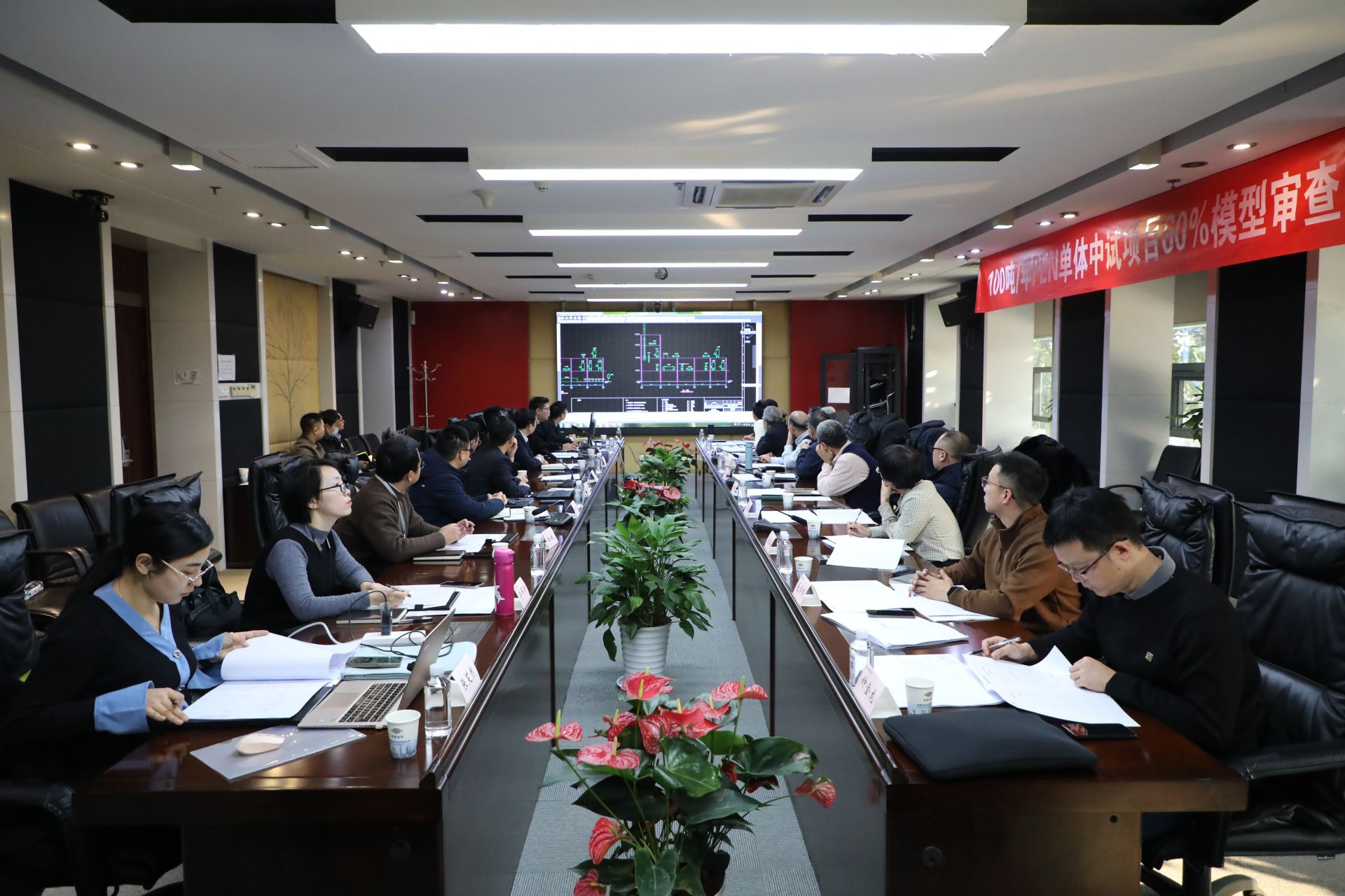 中国化学五环公司聚酯PEN材料单体煤基2,6-萘二甲酸中试验证项目顺利完成60%模型审查.jpg.jpg