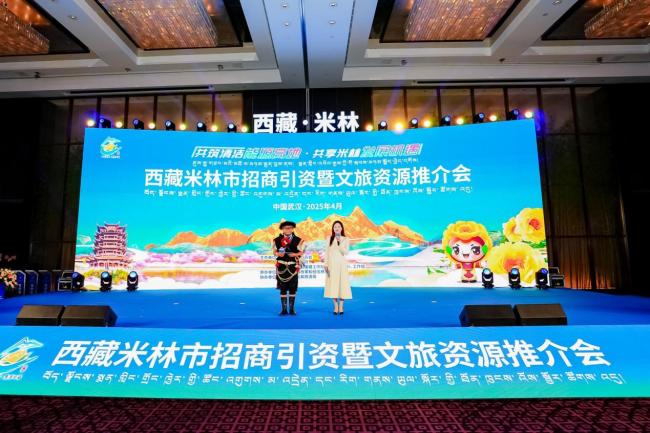 “共同开发清洁能源高地，并分享开发米林的机
