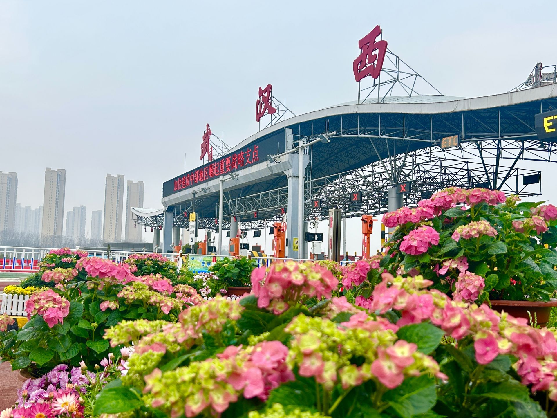改造提升后的武汉西收费站花团锦簇。乔馨妍摄_proc.jpg.jpg